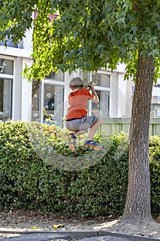 Little boy climbing tree in the city