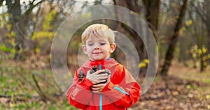 Little boy collecting cones in pine forest in autumn