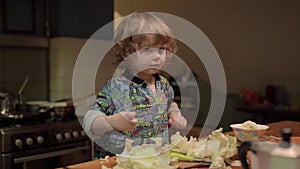 A little boy cuts an cabbage in the kitchen