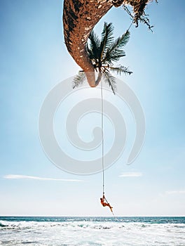 Little boy dangles on tropical palm tree swing, Sri Lanka beach photo