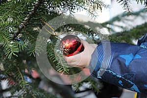 Little boy decorates christmas tree