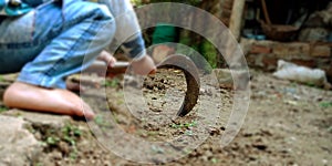 little boy digging soil from agriculture field