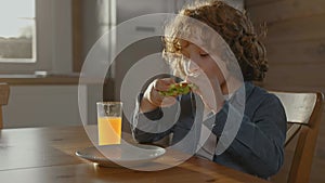 Little boy drinking orange juice and eating sandwich at breakfast on a sunny day