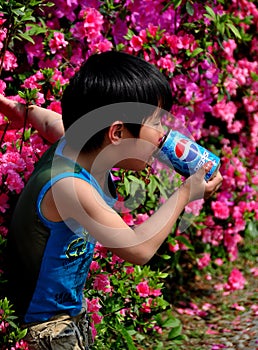 Pengzhou, China: Little Boy Drinking Pepsi