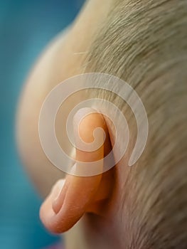 Little boy ear close up