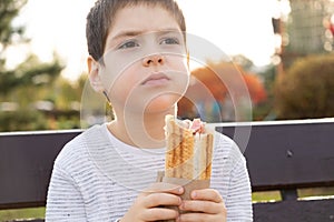 Little boy eating a hotdog while sitting on a bench in the park. Street fast food.