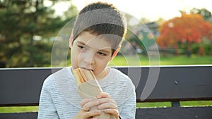 Little boy eating a hotdog while sitting on a bench in the park. Street fast food.