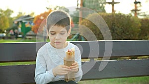 Little boy eating a hotdog while sitting on a bench in the park. Street fast food.