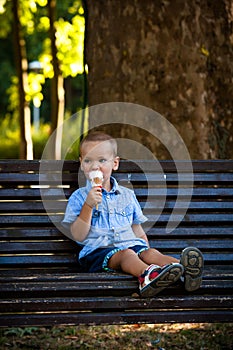 Little boy eating ice cream in park summer day