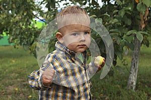 Little boy eating red apple in orchard