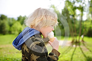 Little boy eating tasty ice cream outdoors during during family stroll. Child have a snack on the go. Gelato is loved delicacy of