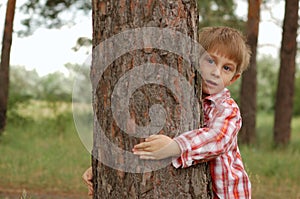 Little boy embrace a tree
