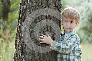 Little boy embrace a tree