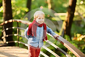 Little boy enjoy stroll in the sunny forest or in summer park