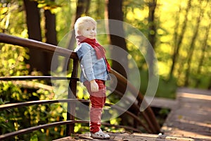 Little boy enjoy stroll in the sunny forest or in summer park