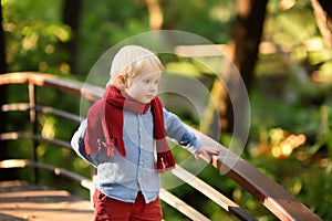 Little boy enjoy stroll in the sunny forest or in summer park