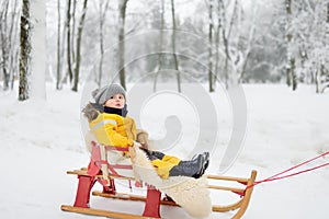 Little boy enjoying a sleigh ride