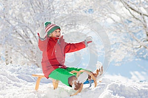 Little boy enjoying a sleigh ride. Child sledding. Toddler kid riding a sledge. Children play outdoors in snow. Kids sled in the