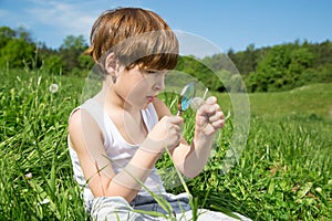 Little Boy Exploring Field Flowers With Magnifying Glass On Beautiful Green Field