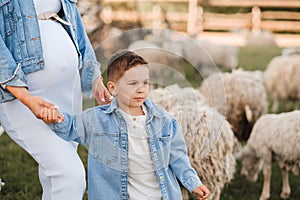 a little boy on a farm with sheep and holding his mother's hand