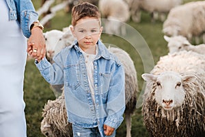 a little boy on a farm with sheep and holding his mother's hand