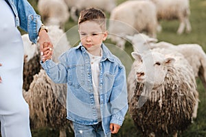 a little boy on a farm with sheep and holding his mother& x27;s hand