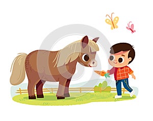 Little boy feed the pony. Kid with animal. Pets care