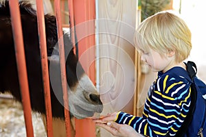 Little boy feeding donkey. Child in petting zoo. Kid having fun in farm with animals. Children and animals