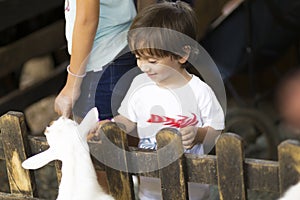 Little Boy feeds white goat