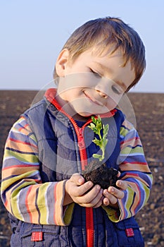 Little boy on field holding the plant