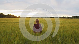 Little boy in a field at sunset. Childhood, freedom and inspiration concept.