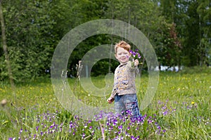 Little boy in the field of Violets