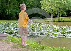 A little boy fishing photo