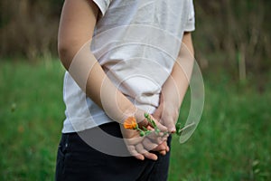 Little boy with flower in the hands