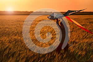 Little boy flying kite in the field at sunset