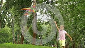 Little boy flying kite in park, happy childhood, freedom inspiration, slow-mo