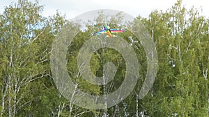 Little boy flying kite in the woods