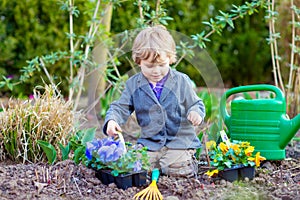 Little boy gardening and planting flowers in garden