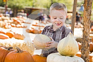 Little Boy Gathering His Pumpkins at a Pumpkin Patch