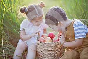 Little boy and girl with basket of apples