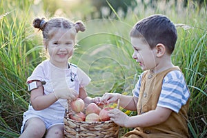 Little boy and girl with basket of apples