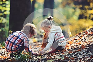 Little boy and girl friends have fun on fresh air. Children pick acorns from oak trees. Brother and sister camping in