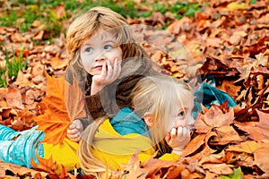 Little boy and girl laying in autumn park. Colorful foliage, maple leaves. Beautiful fall time in nature.