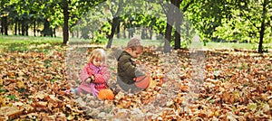 Little boy and girl play with autumn leaves in nature