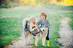 Little Boy and girl playing with his dog outdoors enjoying together. Children camping with pet dog. Children lovingly