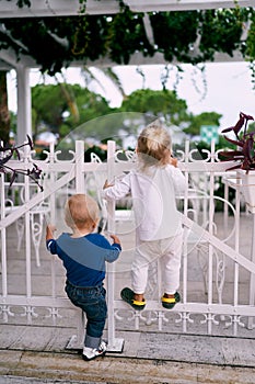 Little boy and girl are standing on a pergola fence. Back view