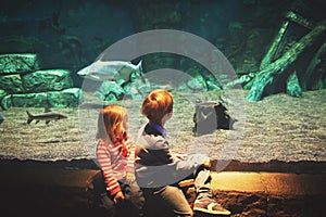 little boy and girl watching fishes in aquarium