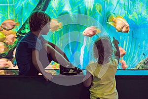Little Boy and girl watching tropical coral fish in large sea li