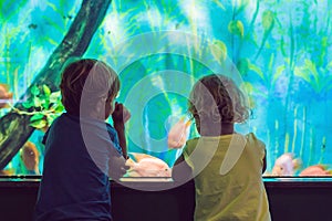 Little Boy and girl watching tropical coral fish in large sea li