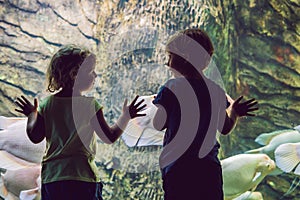 Little Boy and girl watching tropical coral fish in large sea life tank. Kids at the zoo aquarium